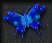 pic for Vector Butterfly 